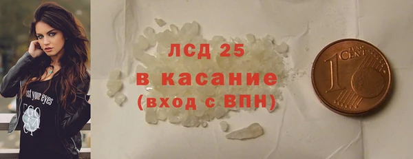 индика Абинск