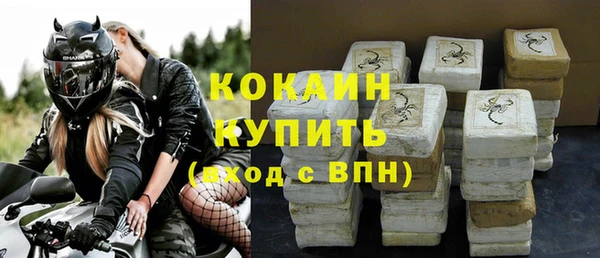 индика Абинск