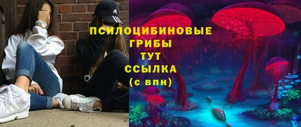 индика Абинск
