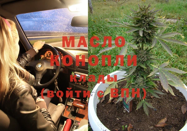 индика Абинск
