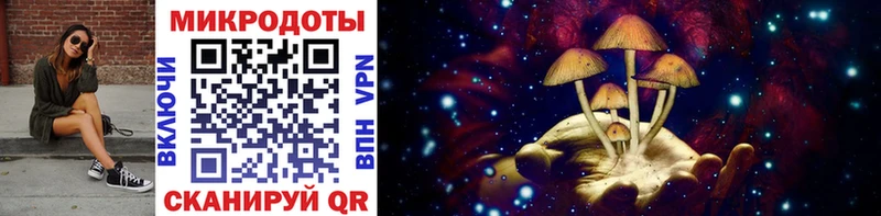 Псилоцибиновые грибы Psilocybe  где можно купить наркотик  Кадников 